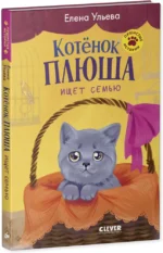 Котенок Плюша ищет семью — изображение 2