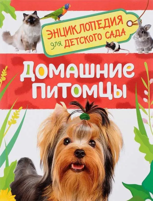 9785353084778_0 Домашние питомцы. ТРАВИНА И. В.