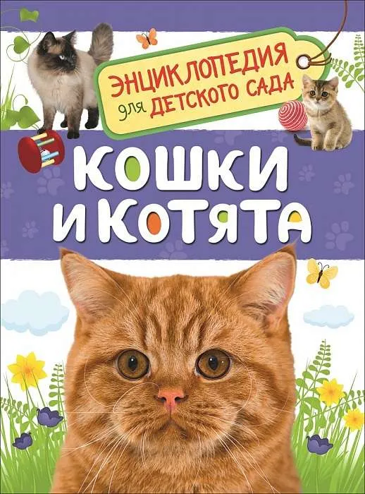 9785353087762_0 Кошки и котята. МИГУНОВА Е. Я.