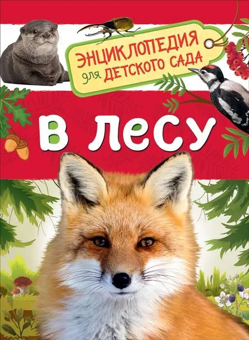 9785353090618_0 В лесу. КЛЮШНИК Л. В.