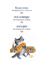 Русские сказки, загадки и пословицы — изображение 4