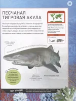 Подводный мир. Полная энциклопедия — изображение 4