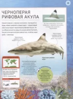 Подводный мир. Полная энциклопедия — изображение 5