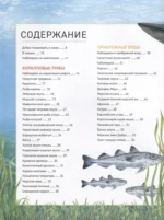 Подводный мир. Полная энциклопедия — изображение 6