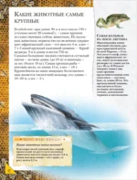 Большая энциклопедия школьника. Книга вопросов и ответов — изображение 6