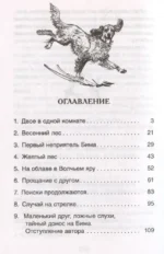Белый Бим Чёрное ухо — изображение 3