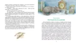 Приключения Тома Сойера — изображение 8