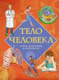 Тело человека. Атлас анатомии в картинках. Илария Барсотти