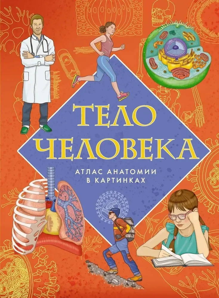 9785389257986_0 Тело человека. Атлас анатомии в картинках. Илария Барсотти