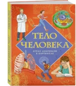 Тело человека. Атлас анатомии в картинках — изображение 2
