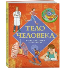 Тело человека. Атлас анатомии в картинках — Детские энциклопедии