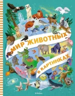 Мир животных в картинках. Иллария Барсотти, Элеонора Барсотти