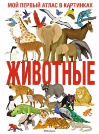 Животные. Мой первый атлас в картинках. Илария Барсотти