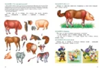 Развитие речи. Уроки с логопедом — изображение 7