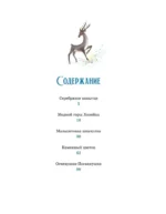 Серебряное копытце — изображение 3
