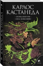 Огонь изнутри. Сила безмолвия — изображение 2