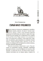 (Не)чистый Минск: сборник мистических рассказов — изображение 4