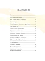 Волшебник из страны Оз (ил. Сюэ Цзинь) — изображение 4