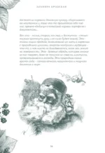 Колесо Года в городе: от древних секретов сезонной магии до современных практик — изображение 12