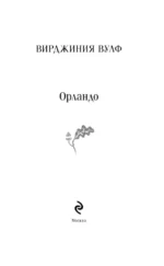 Орландо — изображение 4