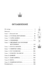Господин Зима — изображение 4