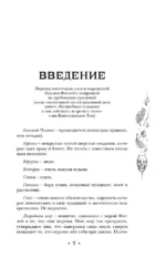 Господин Зима — изображение 8