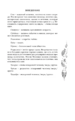 Господин Зима — изображение 10
