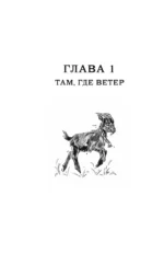 Пастушья корона — изображение 11