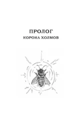 Пастушья корона — изображение 7