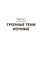 Чёрный замок Ольшанский — изображение 5