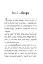 Пёс по имени Мани — изображение 3
