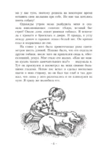Пёс по имени Мани — изображение 4