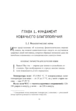 Про здоровье кошки. От ветеринарного врача, влюбленного в свою работу — изображение 8