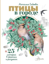 Птицы в городе. 25 историй в фактах и рисунках. Наталья Габеева
