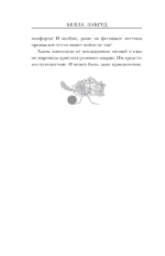 Клубок загадок и шерсти — изображение 11