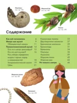 Палеометро — изображение 4