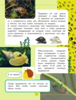 Окружающий мир. Животные — изображение 12