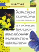 Окружающий мир. Животные — изображение 7