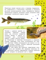Окружающий мир. Животные — изображение 8