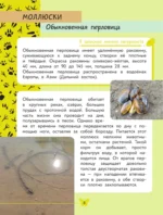 Окружающий мир. Животные — изображение 9
