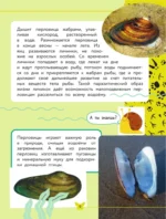Окружающий мир. Животные — изображение 10