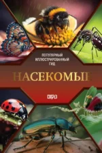 Насекомые. Иллюстрированный гид. Анна Спектор