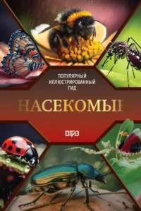 Насекомые. Иллюстрированный гид. Анна Спектор