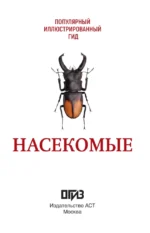 Насекомые. Иллюстрированный гид — изображение 4