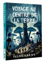 Voyage au centre de la Terre — изображение 2