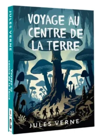Voyage au centre de la Terre — Художественная литература