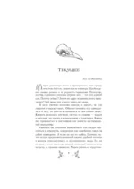 Скиталец. Божественные проповеди — изображение 8