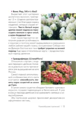 Гортензия. Разноцветные чувства. Шпаргалка-трекер по выращиванию и уходу — изображение 11