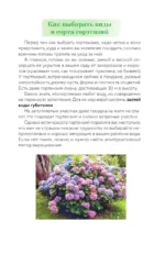 Гортензия. Разноцветные чувства. Шпаргалка-трекер по выращиванию и уходу — изображение 7