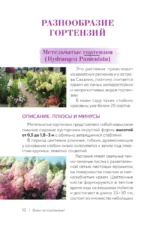 Гортензия. Разноцветные чувства. Шпаргалка-трекер по выращиванию и уходу — изображение 8
